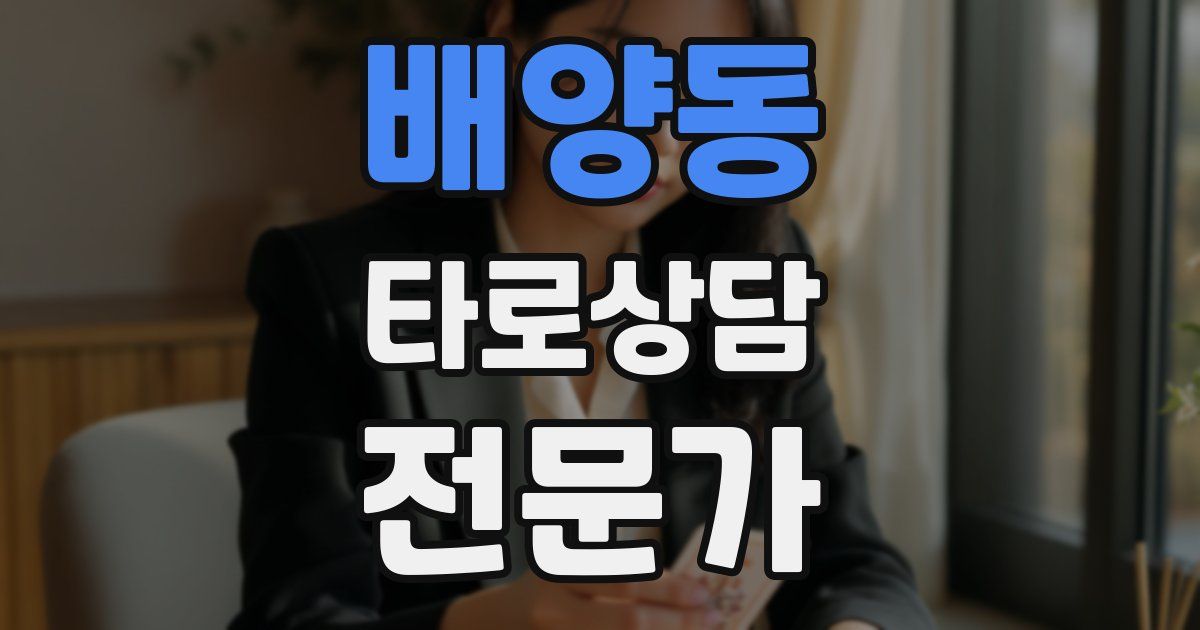 배양동 타로상담전문가 자격증