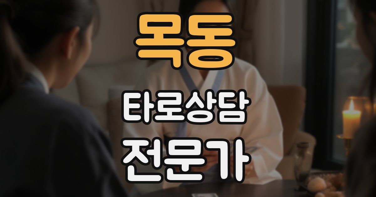 목동 타로상담전문가 자격증