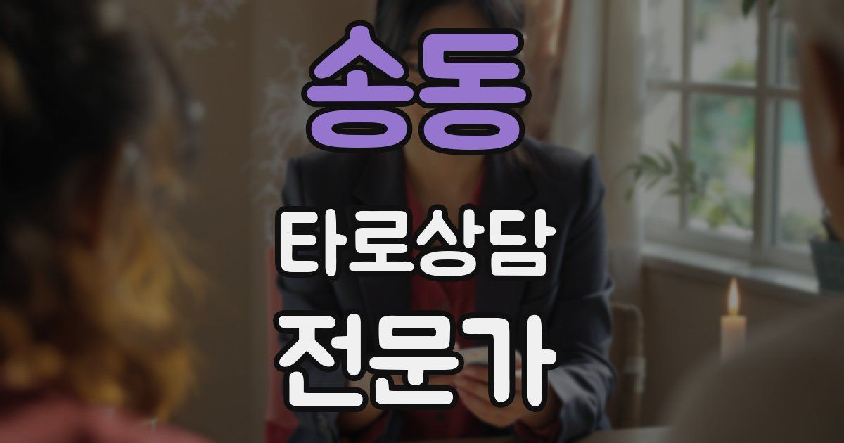 송동 타로상담전문가 자격증