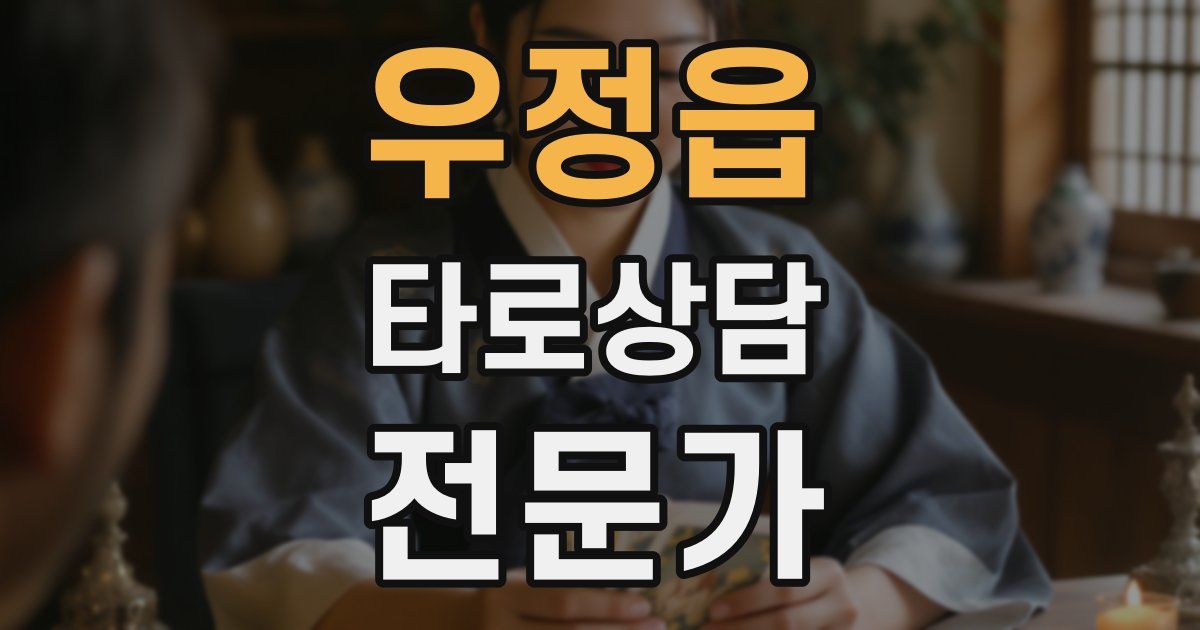 우정읍 타로상담전문가 자격증