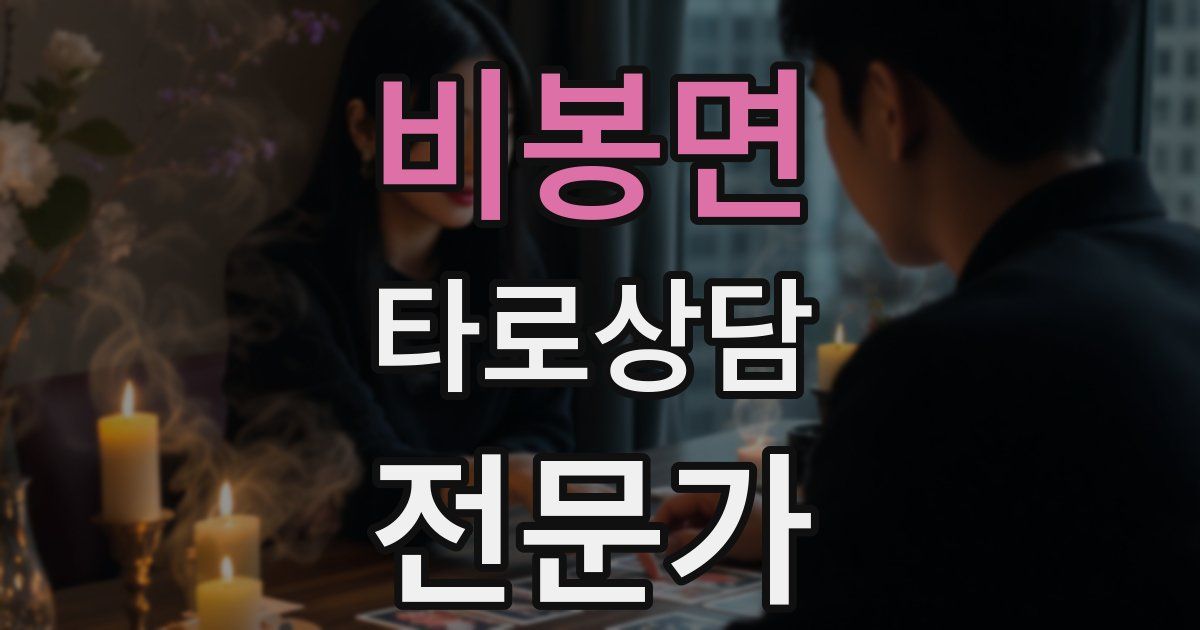 비봉면 타로상담전문가 자격증