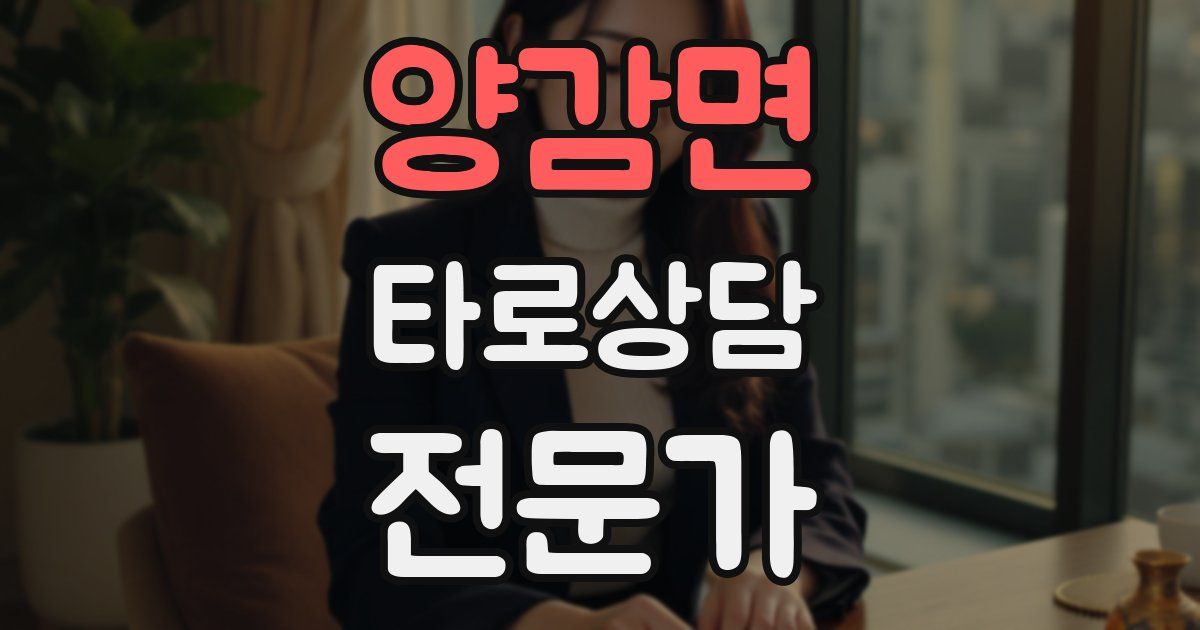 양감면 타로상담전문가 자격증