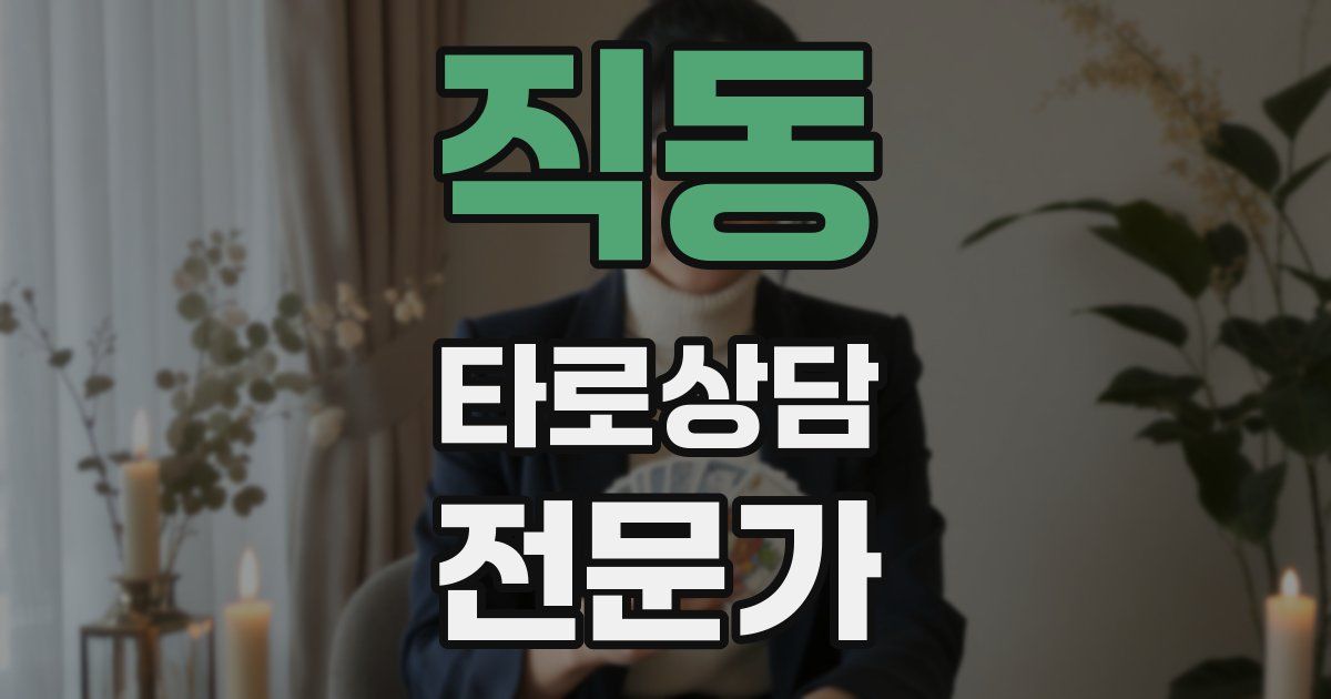 직동 타로상담전문가 자격증