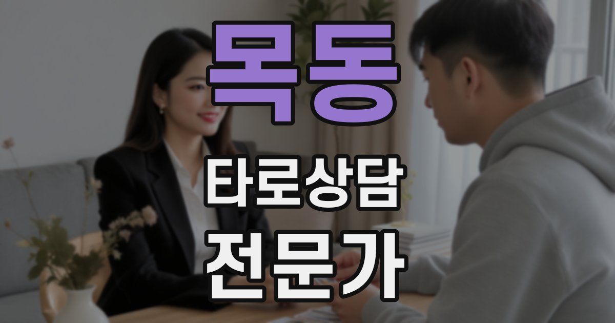 목동 타로상담전문가 자격증