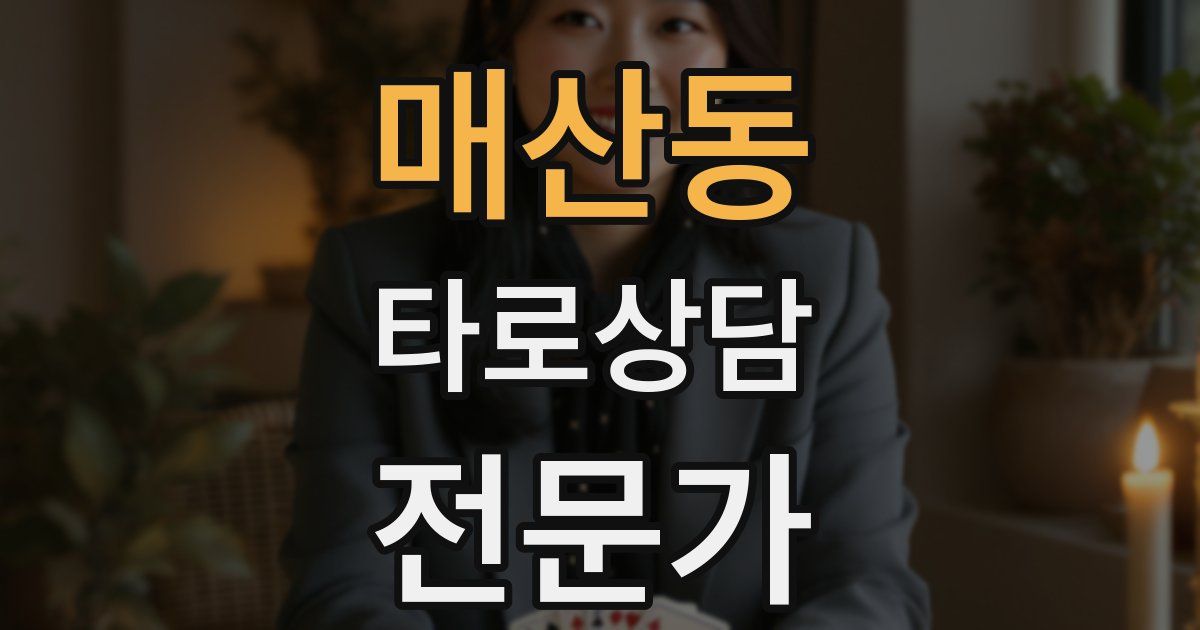 매산동 타로상담전문가 자격증