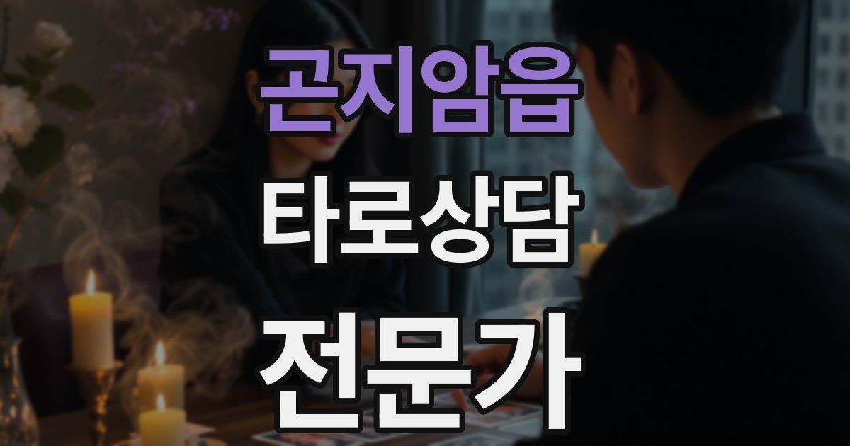 곤지암읍 타로상담전문가 자격증