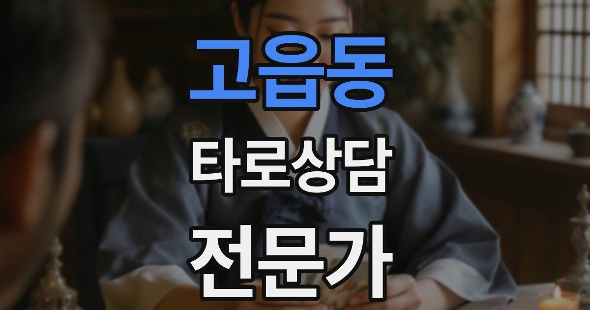 고읍동 타로상담전문가 자격증