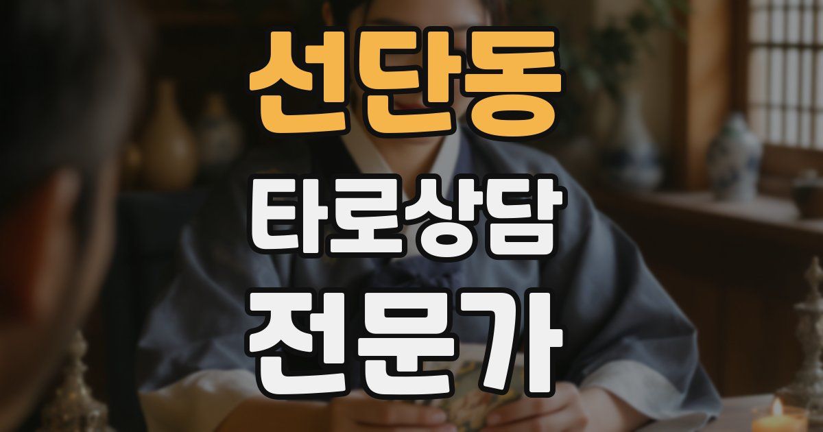 선단동 타로상담전문가 자격증