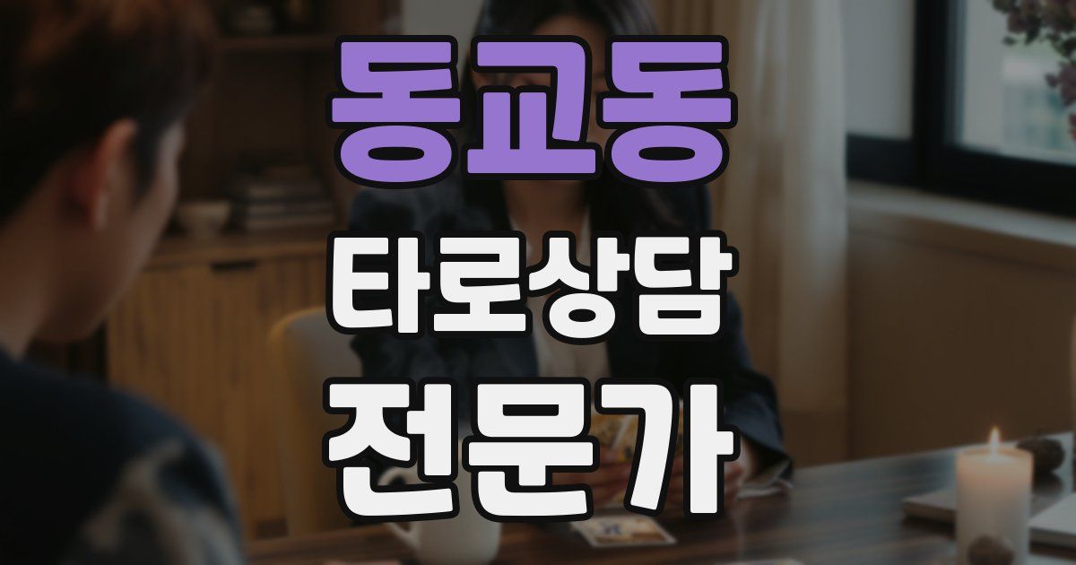 동교동 타로상담전문가 자격증