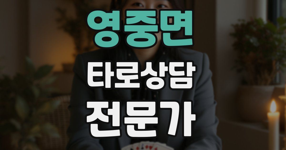 영중면 타로상담전문가 자격증