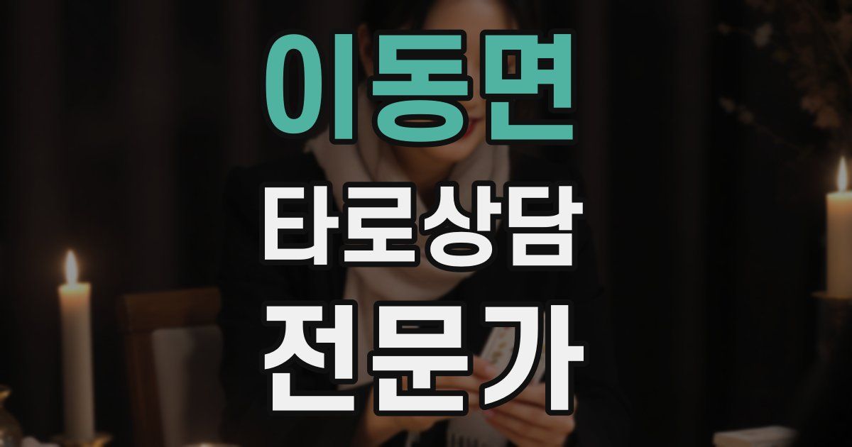 이동면 타로상담전문가 자격증