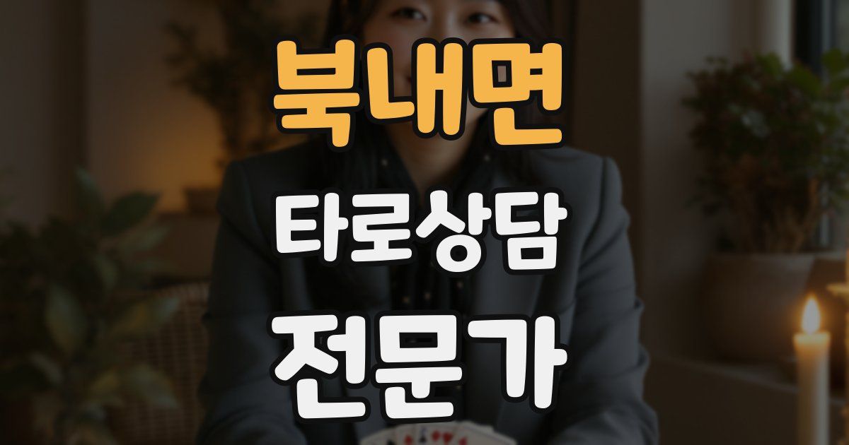 북내면 타로상담전문가 자격증