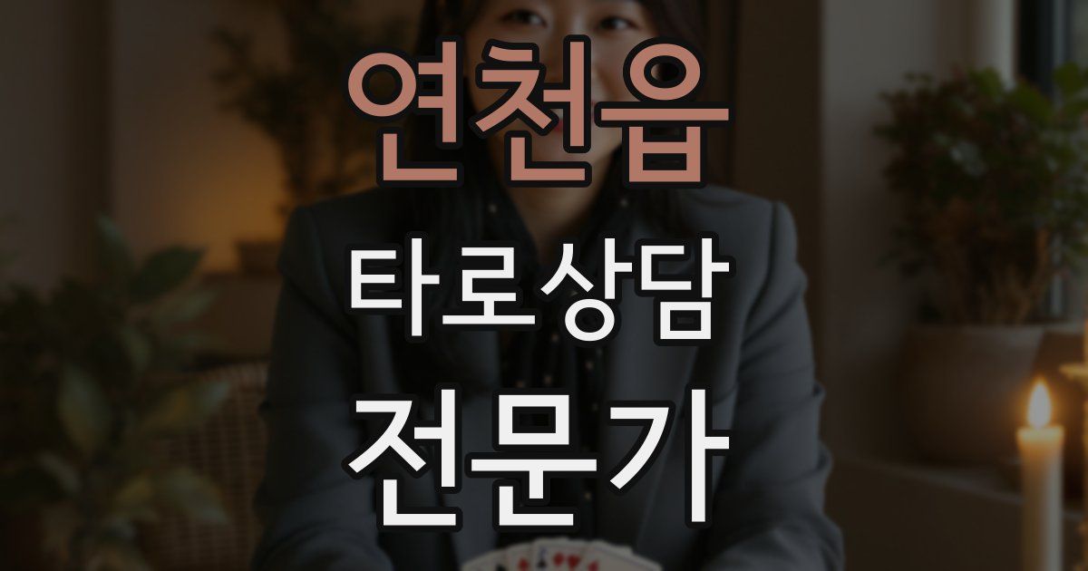 연천읍 타로상담전문가 자격증