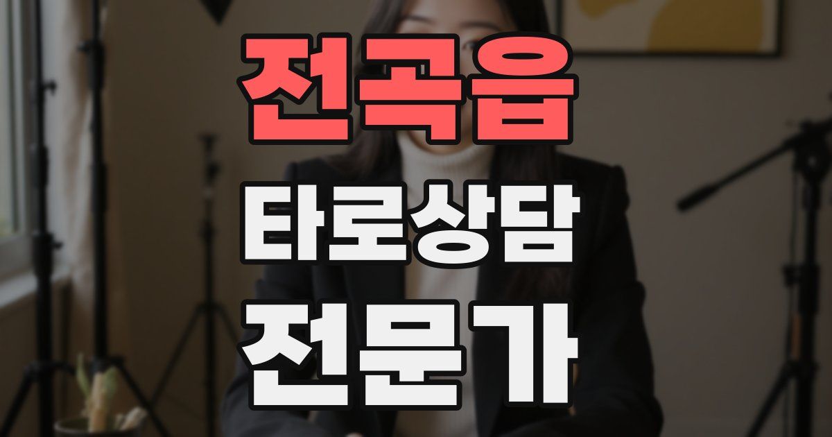 전곡읍 타로상담전문가 자격증
