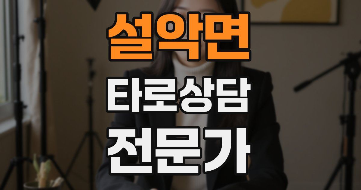 설악면 타로상담전문가 자격증
