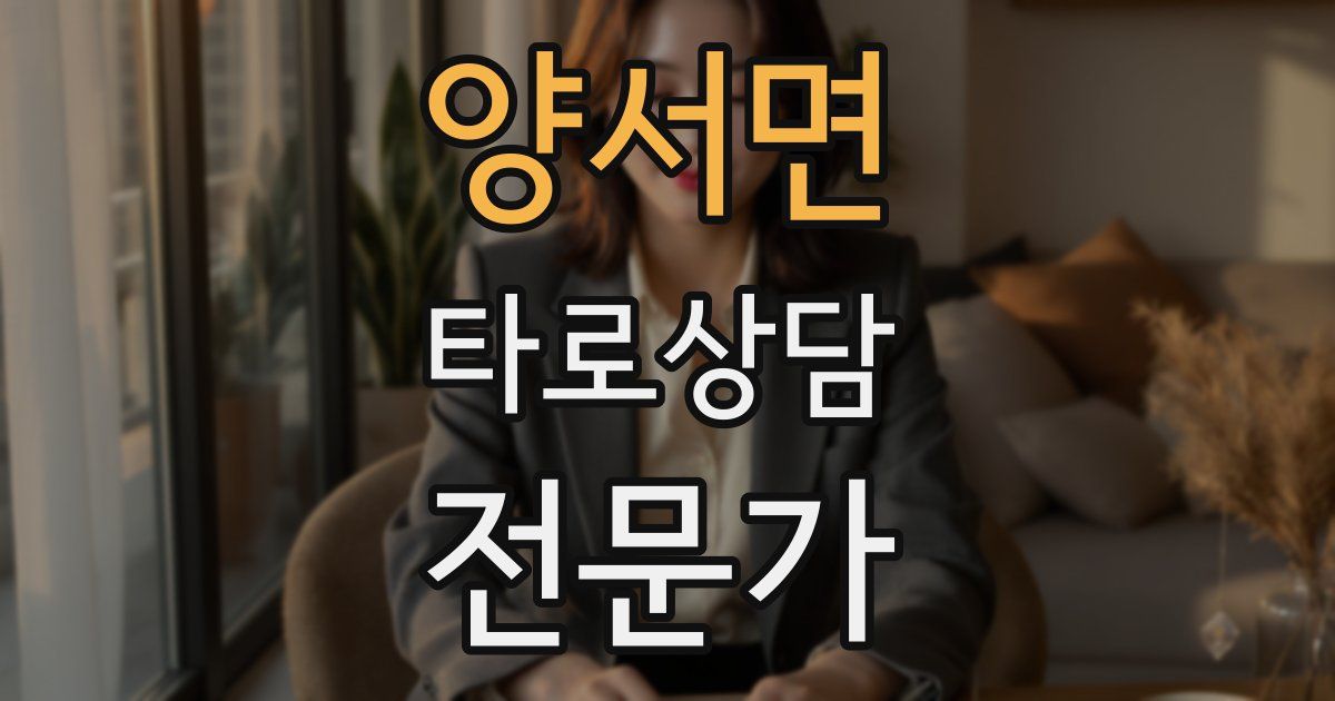 양서면 타로상담전문가 자격증
