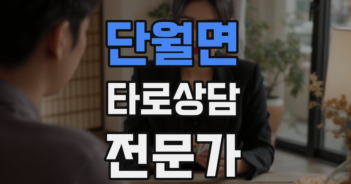 단월면 타로상담전문가 자격증