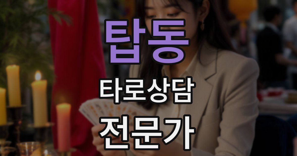 탑동 타로상담전문가 자격증