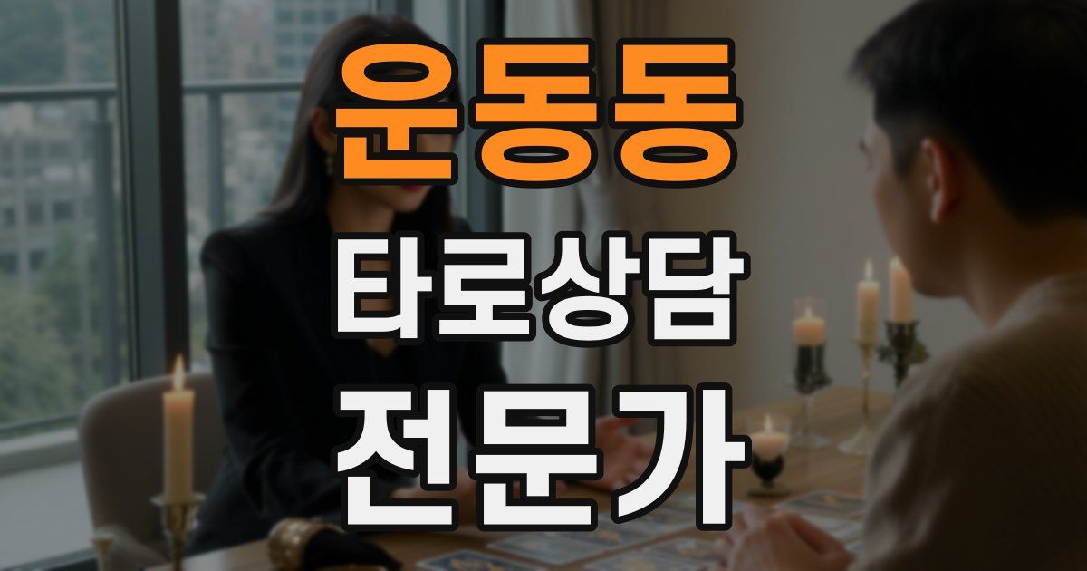 운동동 타로상담전문가 자격증