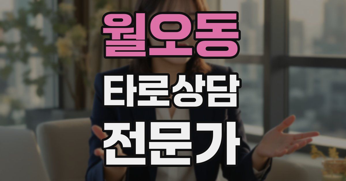 월오동 타로상담전문가 자격증