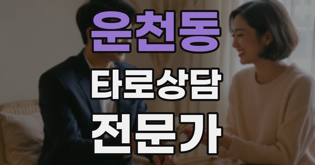 운천동 타로상담전문가 자격증