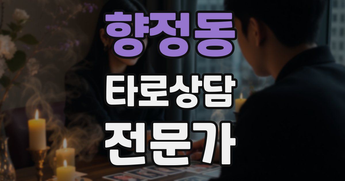 향정동 타로상담전문가 자격증