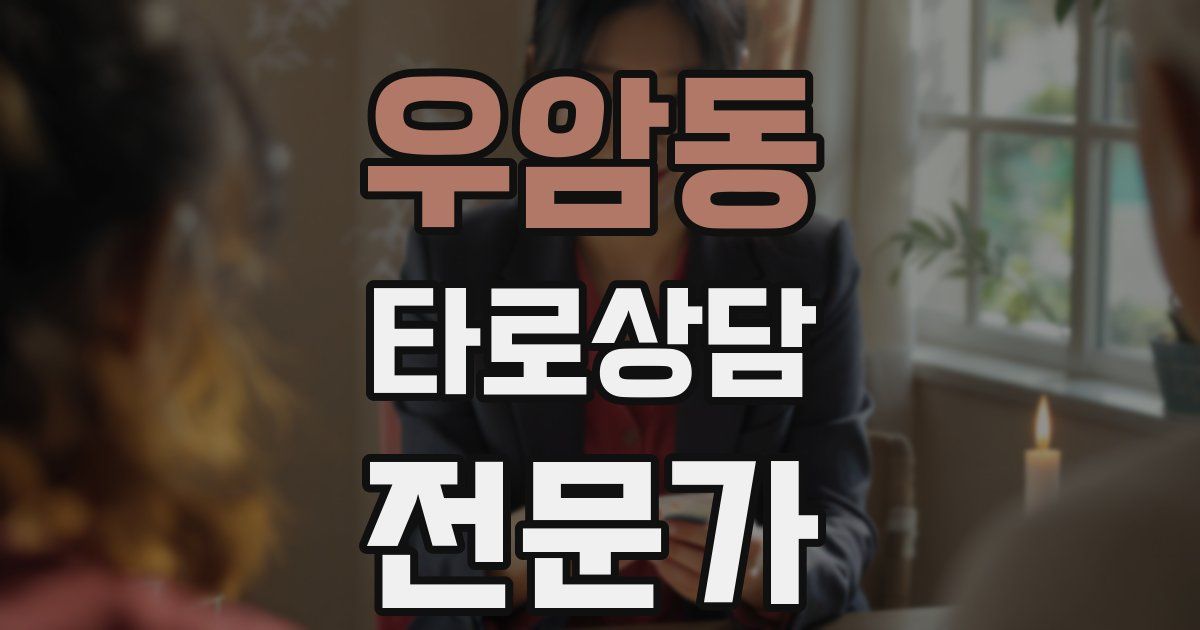 우암동 타로상담전문가 자격증