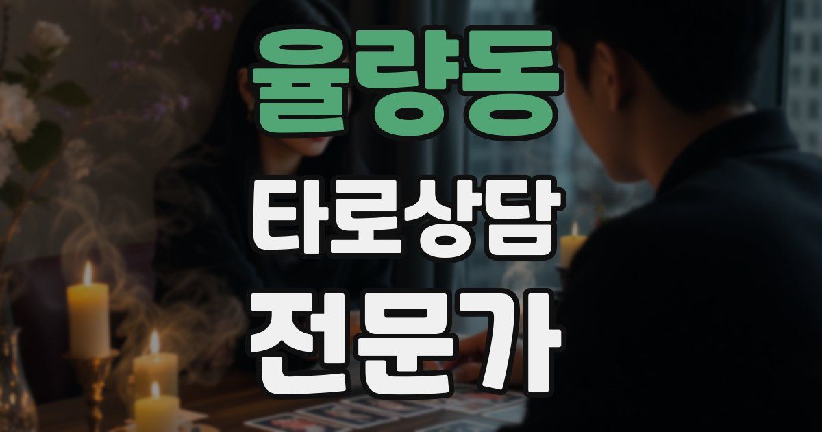 율량동 타로상담전문가 자격증