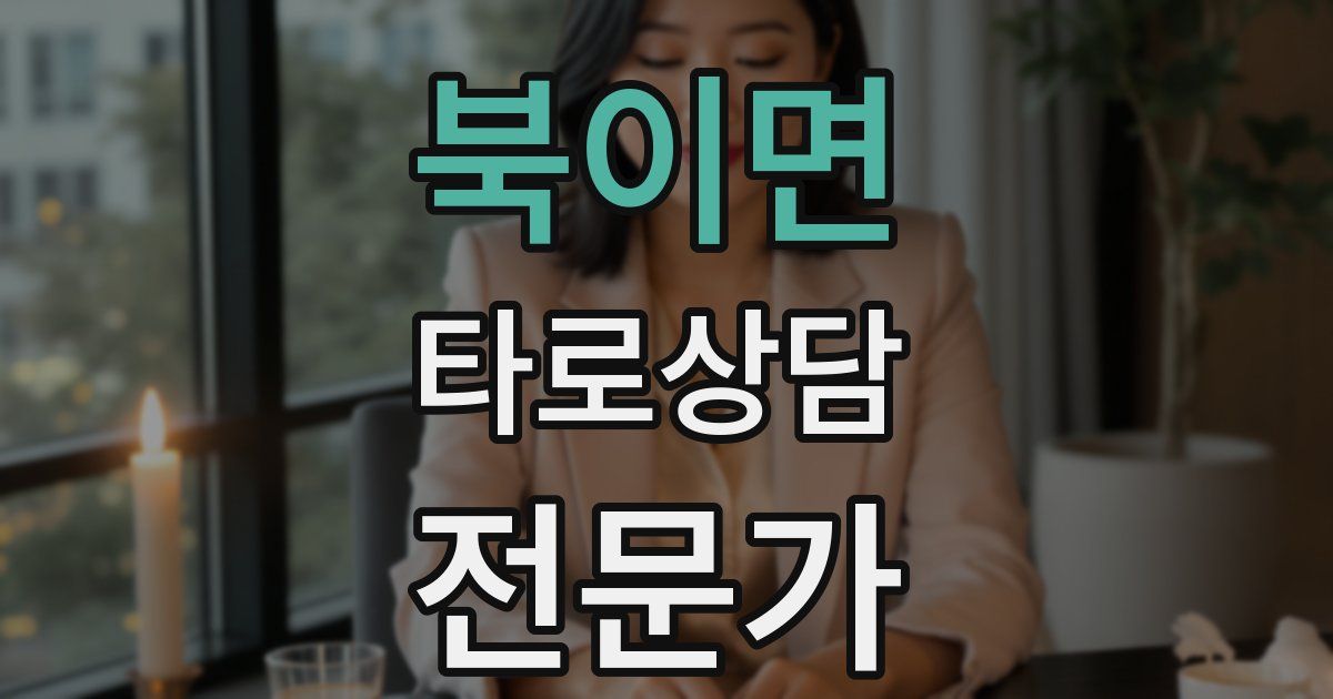 북이면 타로상담전문가 자격증