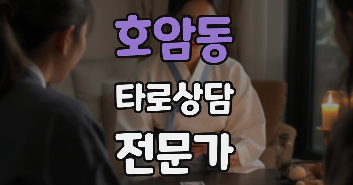 호암동 타로상담전문가 자격증