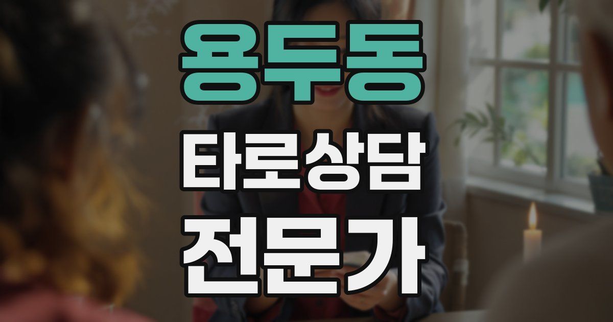 용두동 타로상담전문가 자격증