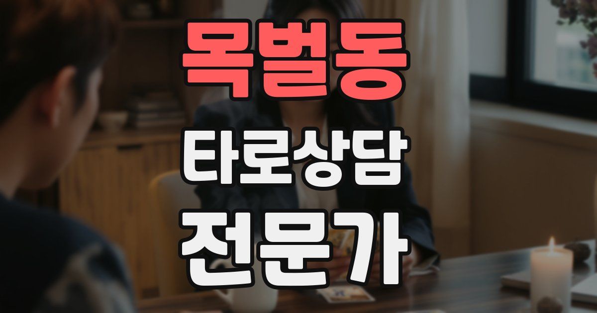 목벌동 타로상담전문가 자격증
