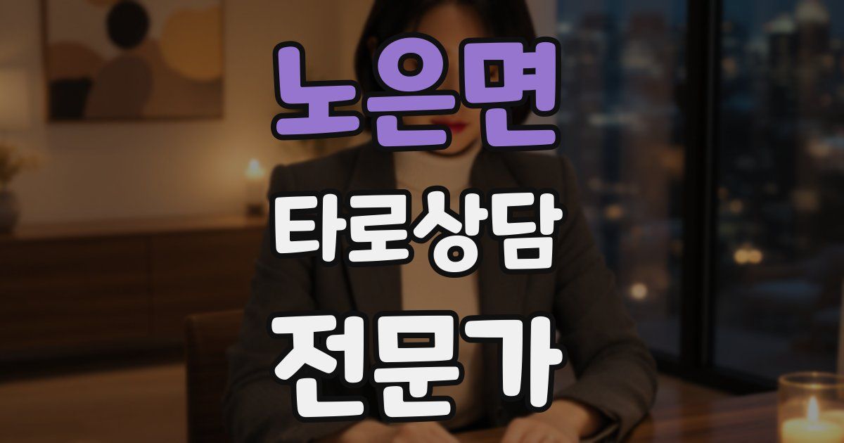 노은면 타로상담전문가 자격증