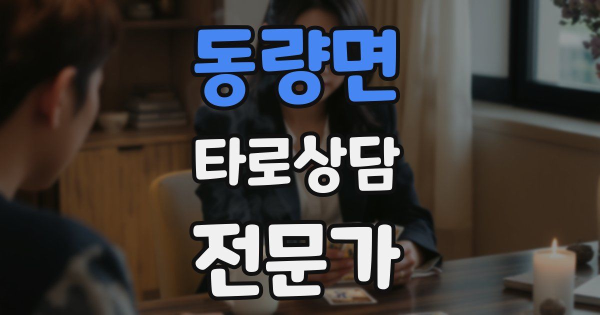 동량면 타로상담전문가 자격증