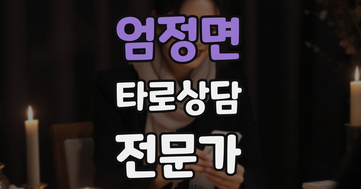 엄정면 타로상담전문가 자격증