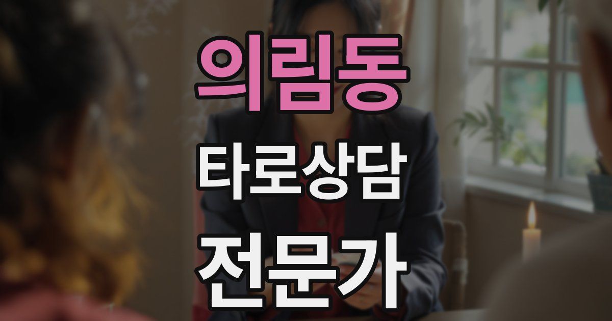 의림동 타로상담전문가 자격증