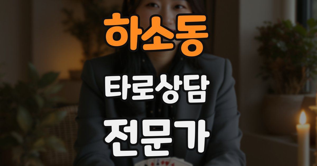 하소동 타로상담전문가 자격증