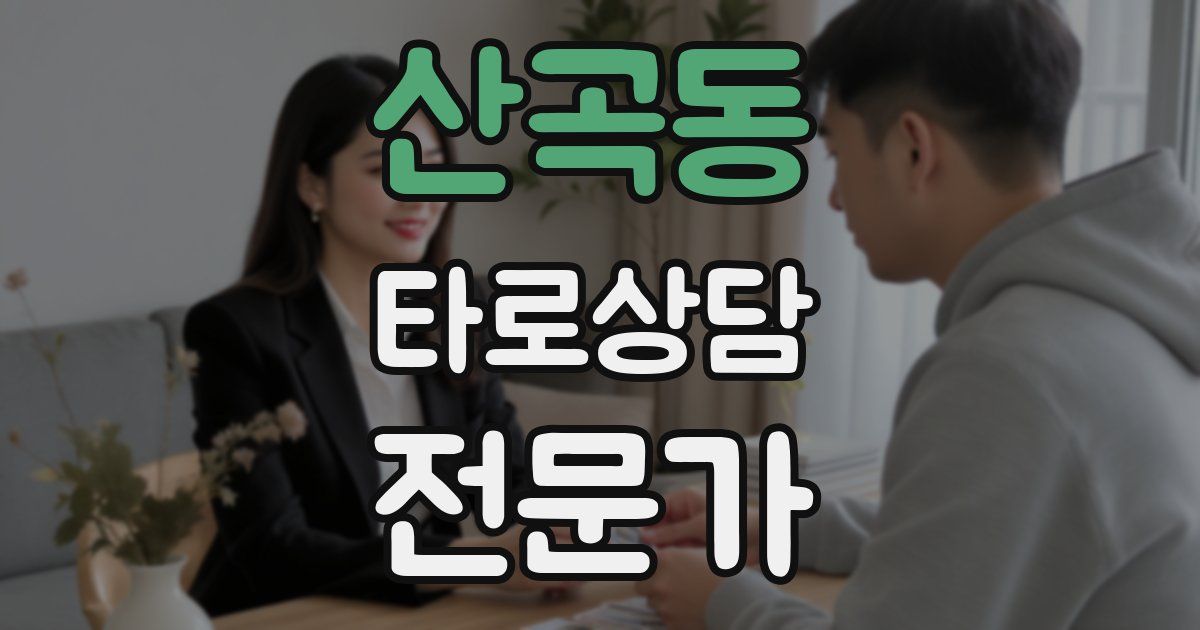 산곡동 타로상담전문가 자격증