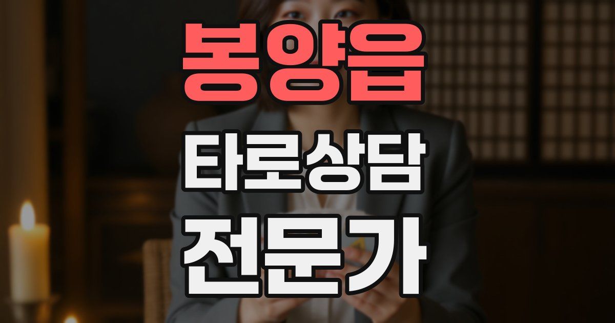 봉양읍 타로상담전문가 자격증