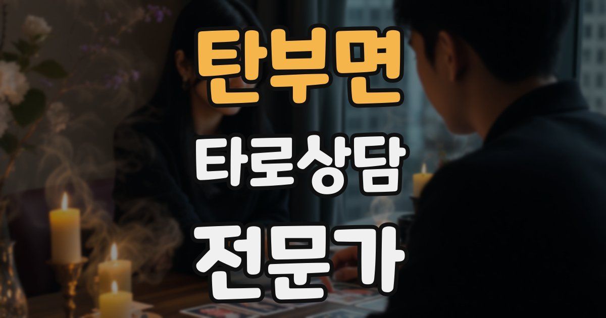 탄부면 타로상담전문가 자격증