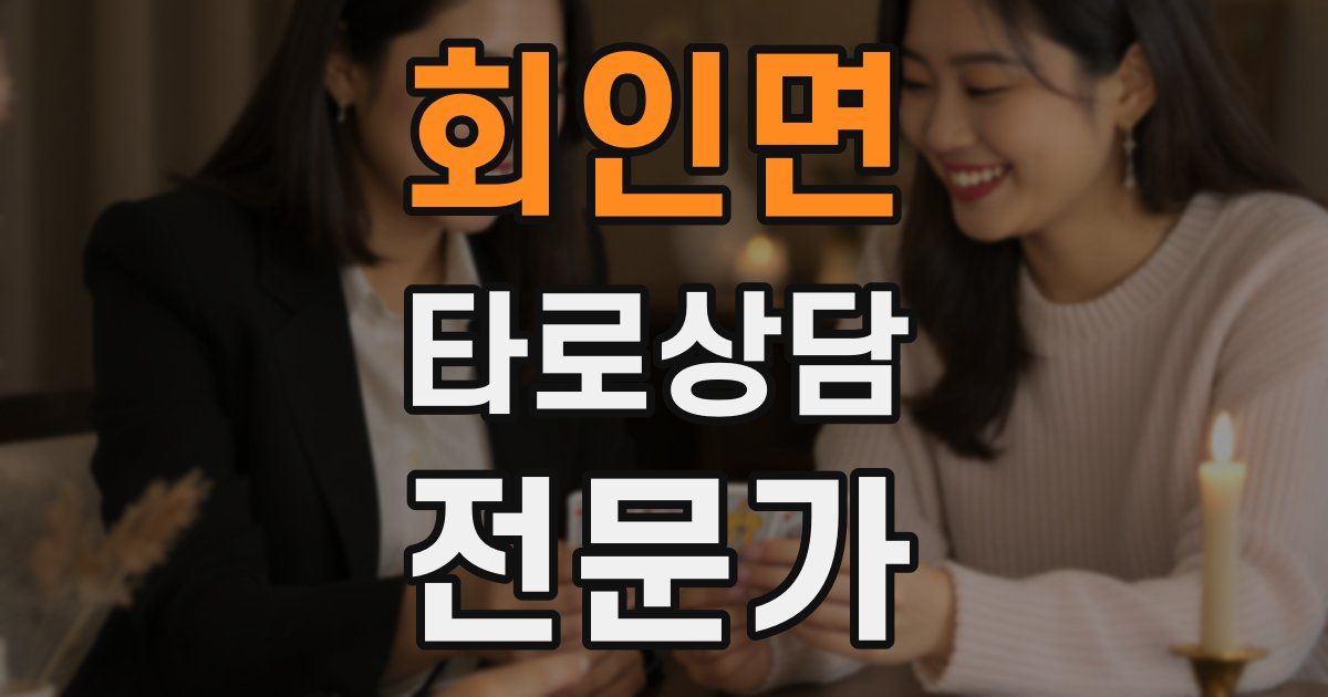 회인면 타로상담전문가 자격증