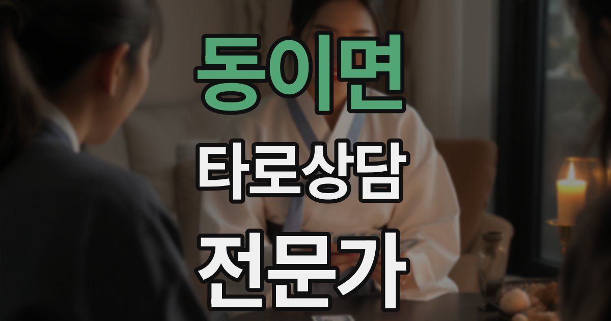 동이면 타로상담전문가 자격증