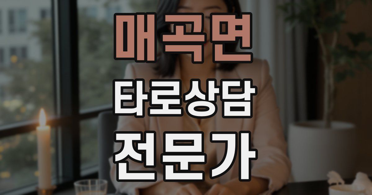 매곡면 타로상담전문가 자격증