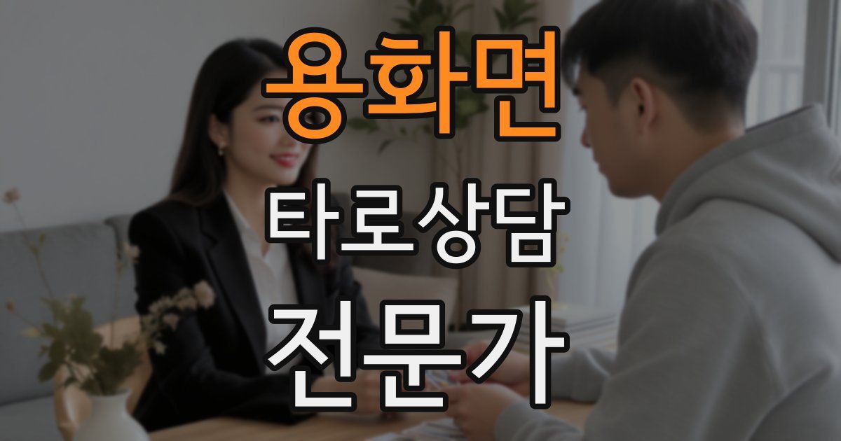 용화면 타로상담전문가 자격증