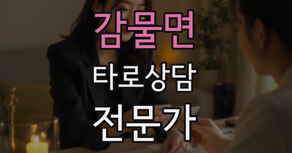 감물면 타로상담전문가 자격증