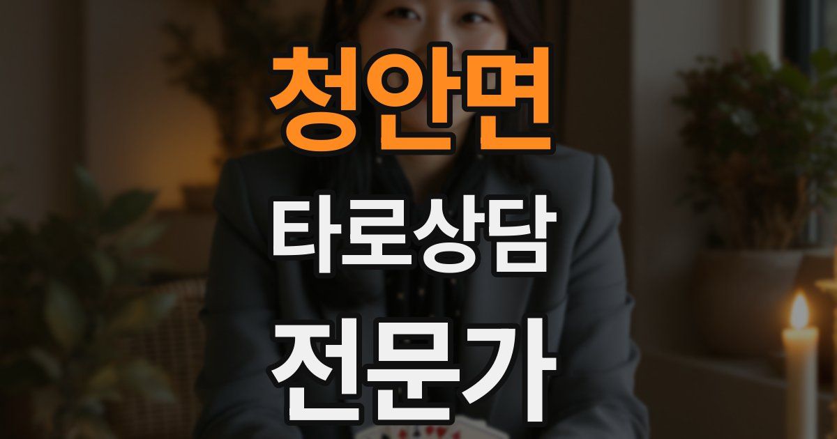 청안면 타로상담전문가 자격증