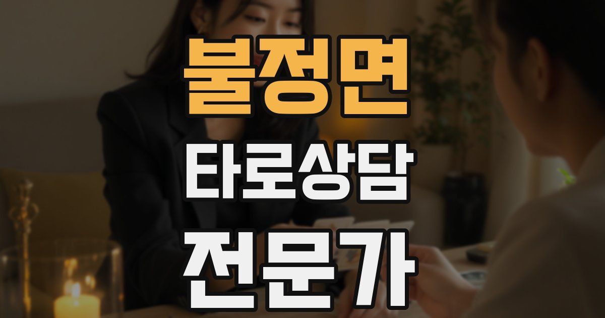 불정면 타로상담전문가 자격증