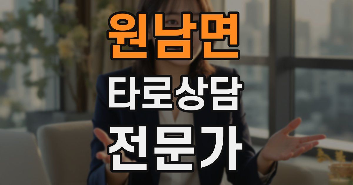 원남면 타로상담전문가 자격증