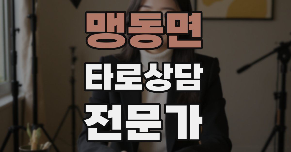 맹동면 타로상담전문가 자격증