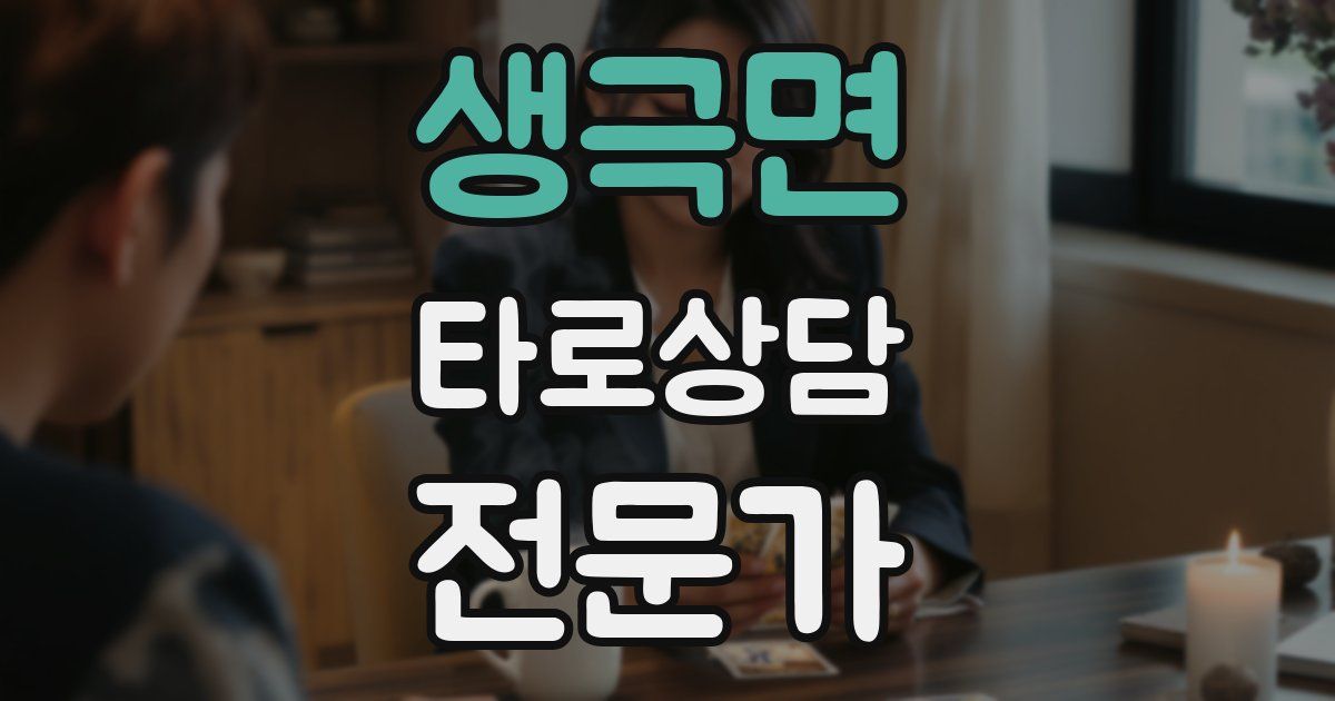 생극면 타로상담전문가 자격증